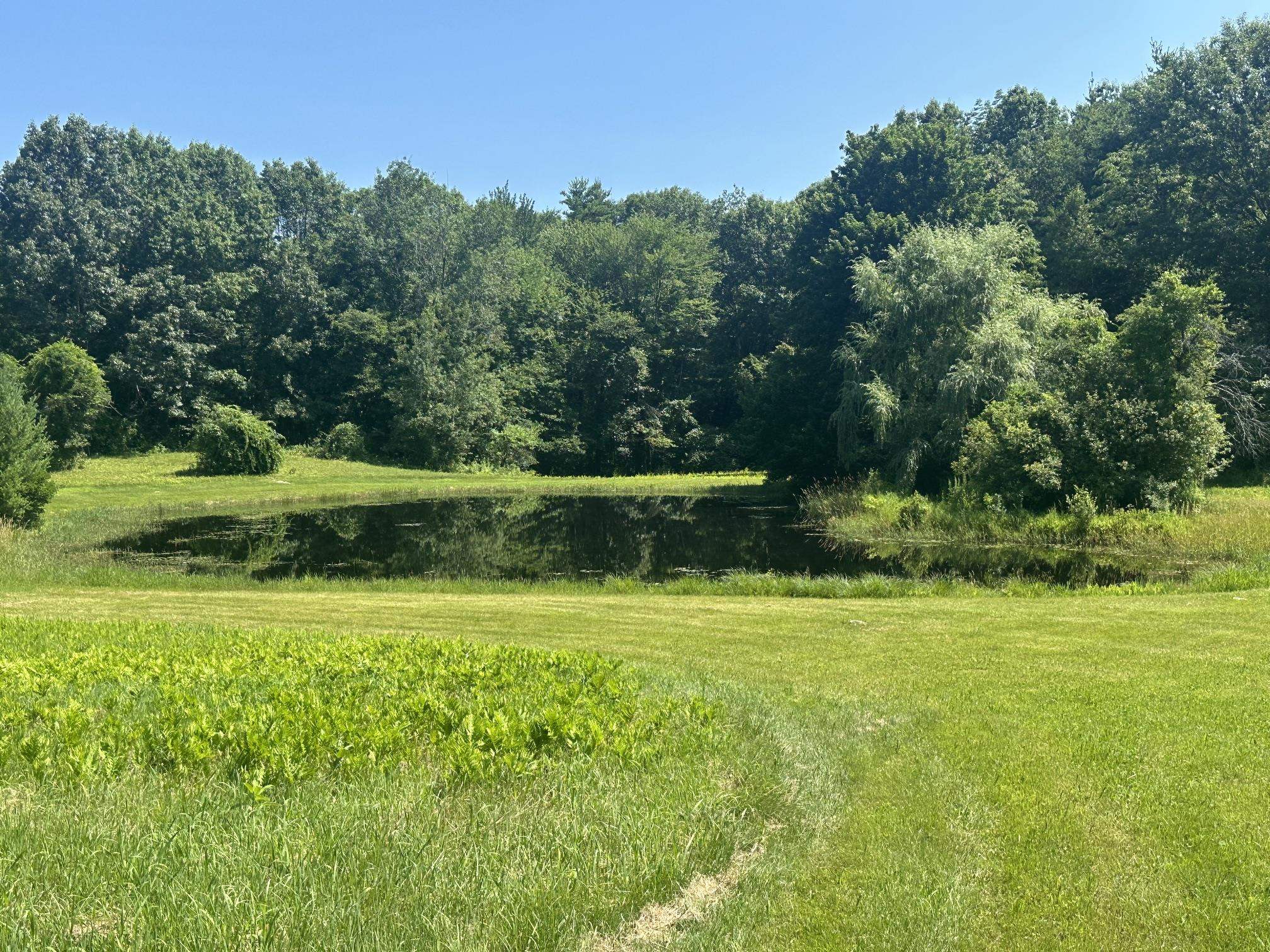128 N Road Sandown, NH 03873 - Photo 11 of 54 Gallery Image 11