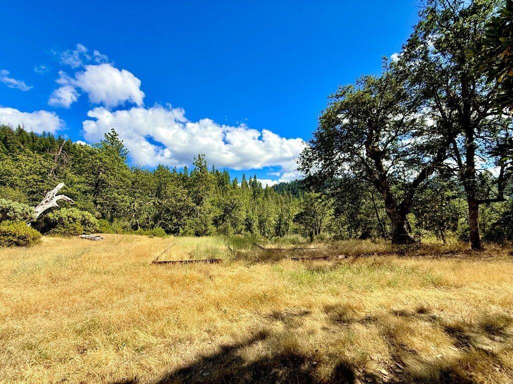 925 Kingsbury Road Hayfork, CA 96041 - Photo 17 of 21 K17