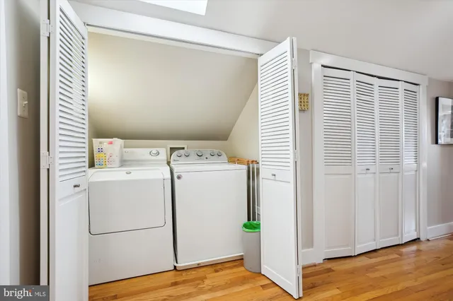 a view of a park with large trees