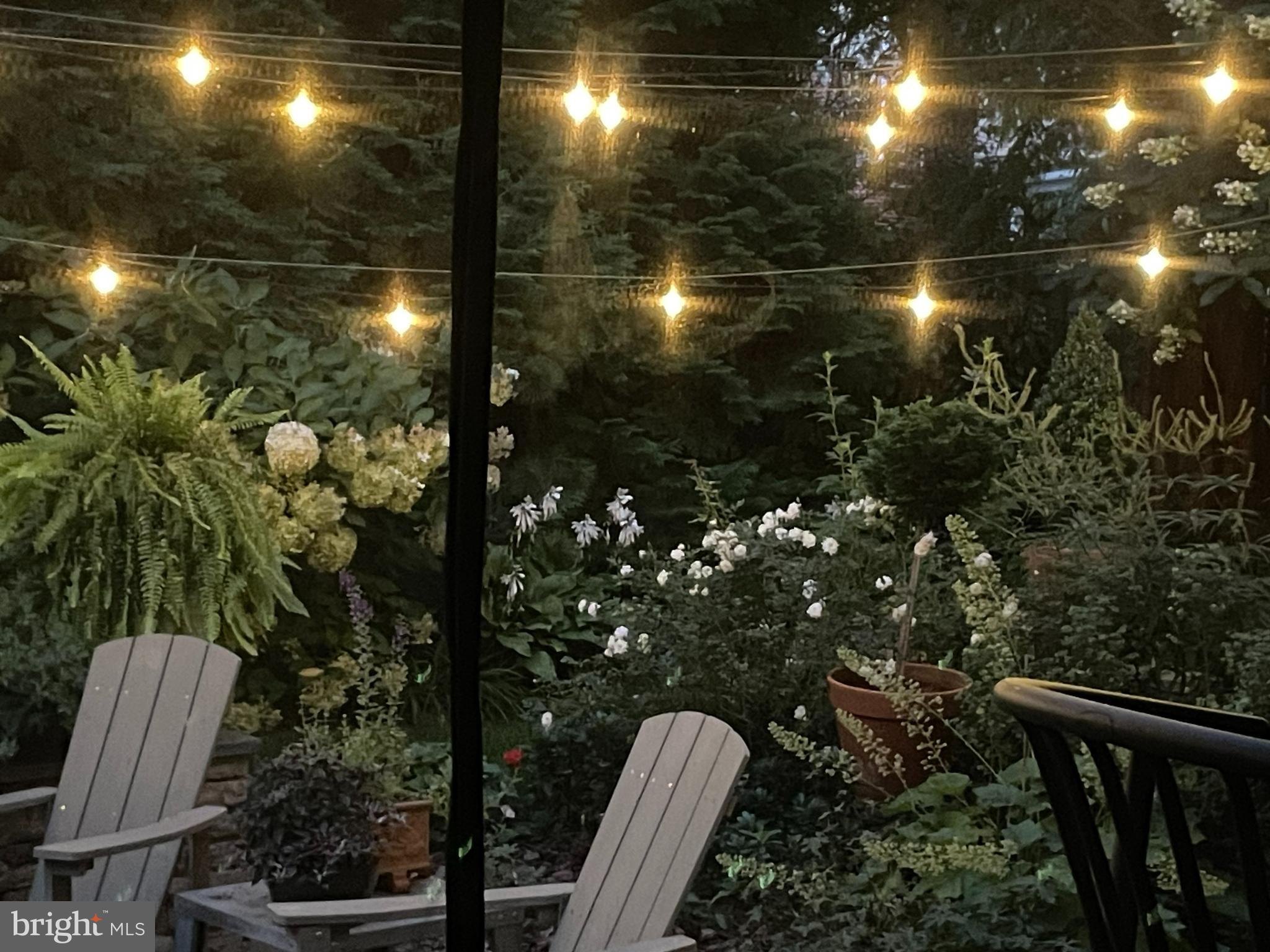 9411 Garwood Street Silver Spring, MD 20901 - Photo 55 of 90 Garden at twilight.