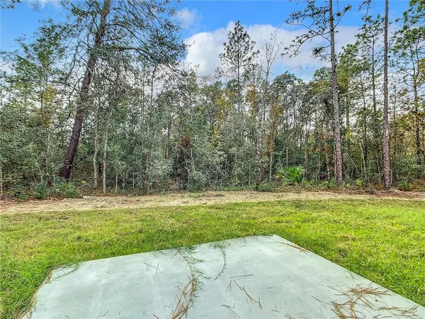 a view of a grassy area with trees