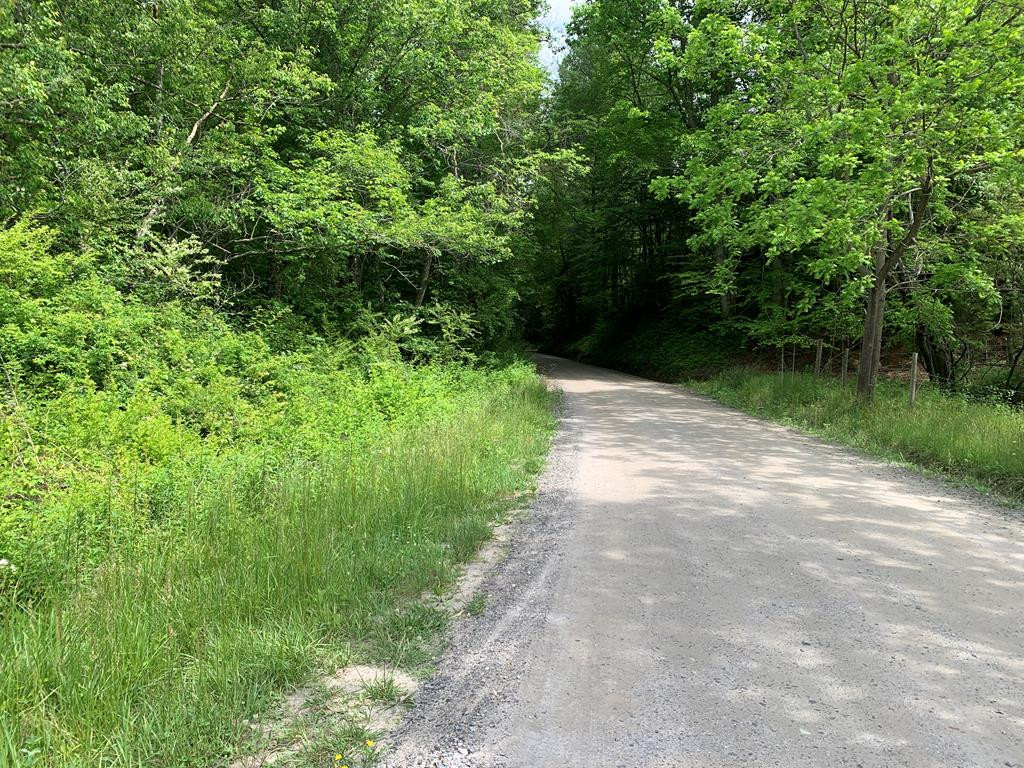 17.76-ac Greasy Creek Road Murphy, NC 28906 - Photo 8 of 17