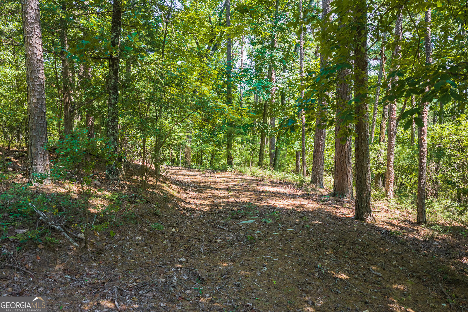 694-695 Railey Ridge, Unit 694695 Ranger, GA 30734 - Photo 10 of 15 Gallery Image 10