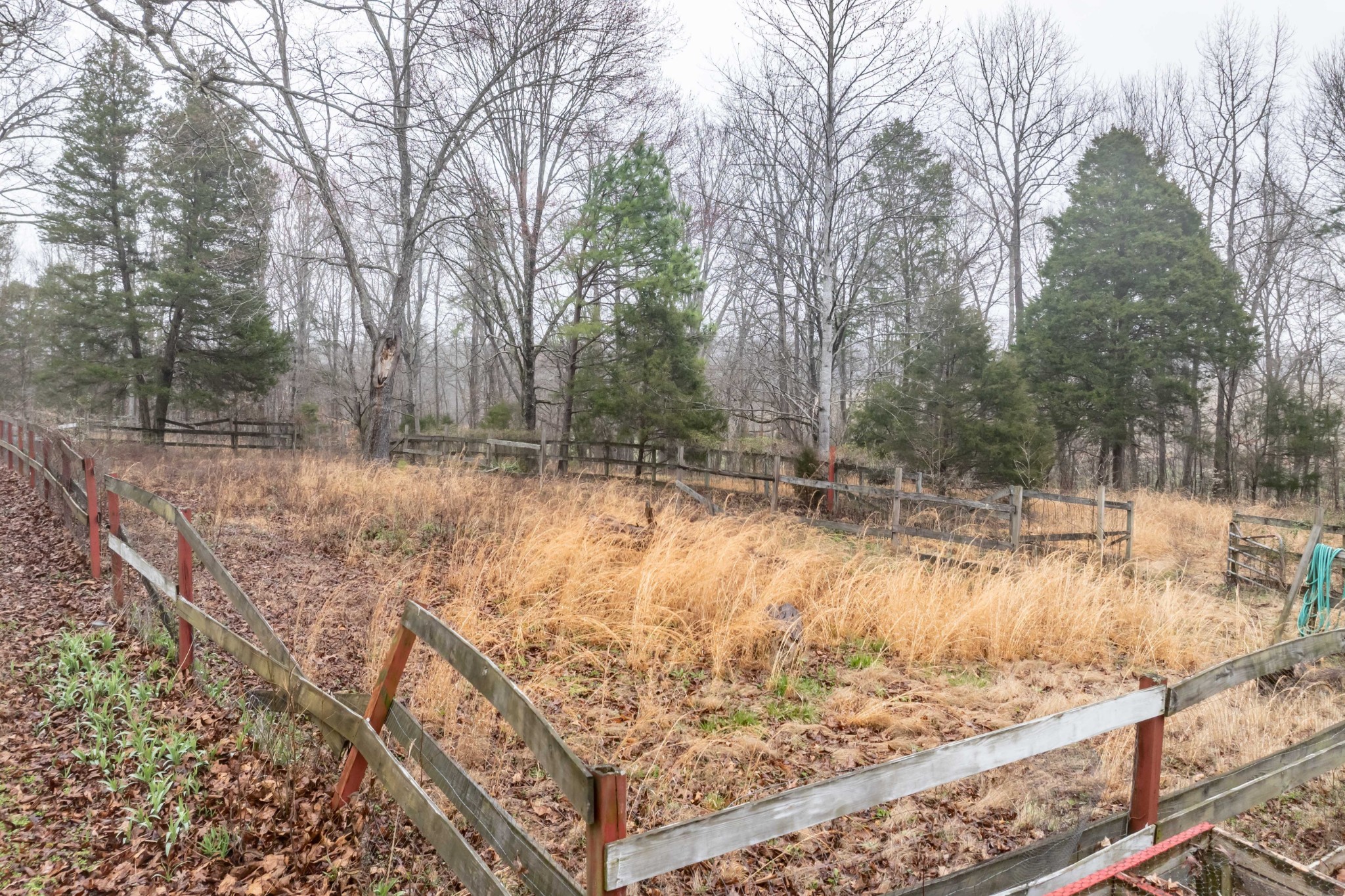 60 Yellow Spring Road Holladay, TN 38341 - Photo 33 of 48 Gallery Image 33