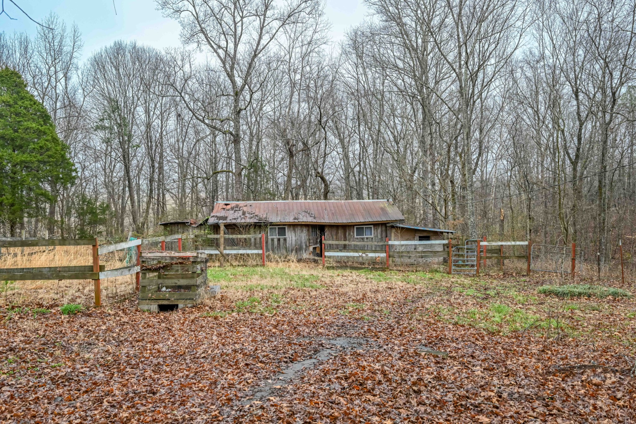 60 Yellow Spring Road Holladay, TN 38341 - Photo 36 of 48 Gallery Image 36