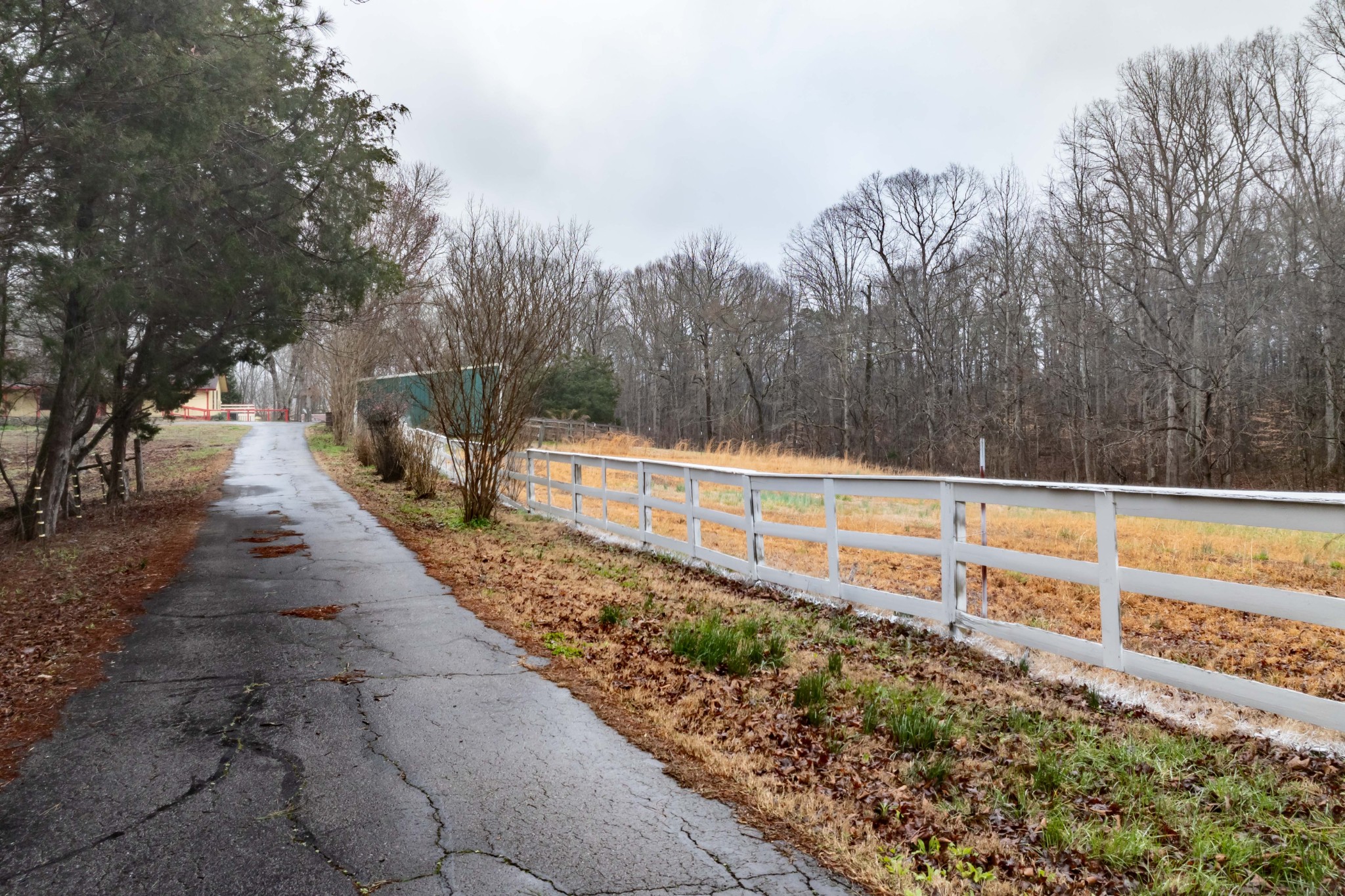 60 Yellow Spring Road Holladay, TN 38341 - Photo 41 of 48 Gallery Image 41