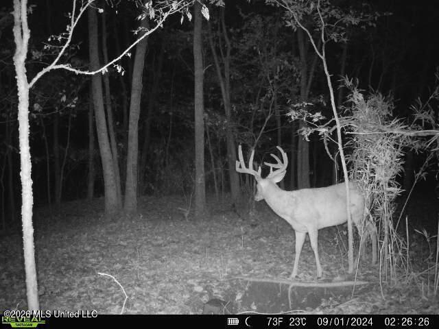1 Highway 3 Lambert, MS 38643 - Photo 36 of 102 36D471C5-F078-42A7-94AD-C9A3AC8EB881