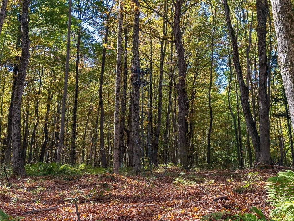 Reservoir Hill Road Norwich, NY 13815 - Photo 32 of 50