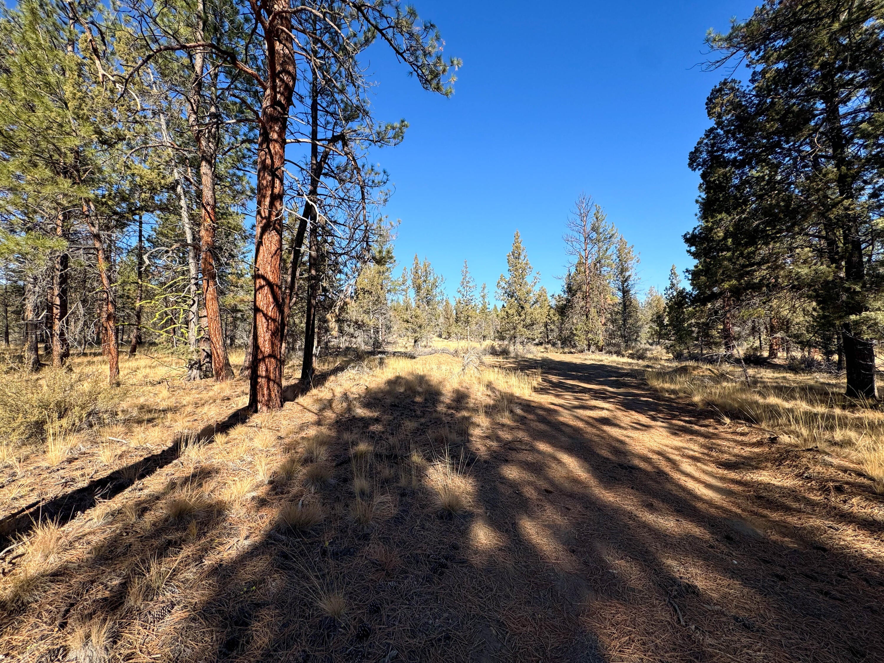 17390 Big Buck Road Sisters, OR 97759 - Photo 24 of 35 13790 Big Buck rd-43