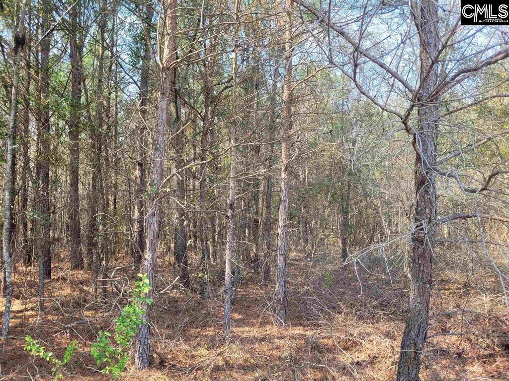 239 House Road Eastover, SC 29044 - Photo 7 of 10