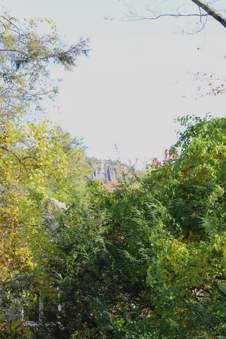 a view of a lake with a mountain