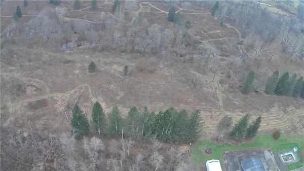 a view of a dry yard with trees