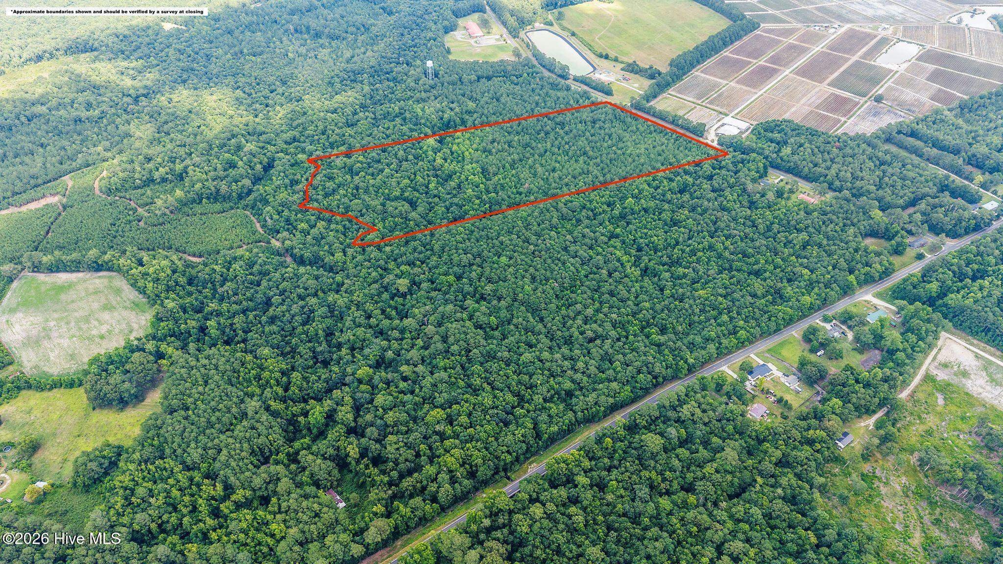 28-ac Maple Hill School Road Maple Hill, NC 28454 - Photo 6 of 20