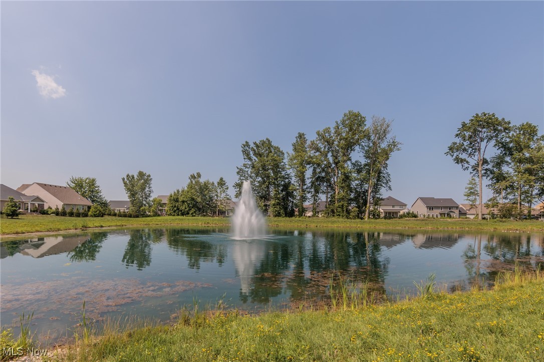 36458 Appian Way North Ridgeville, OH 44039 - Photo 35 of 37 View of water feature