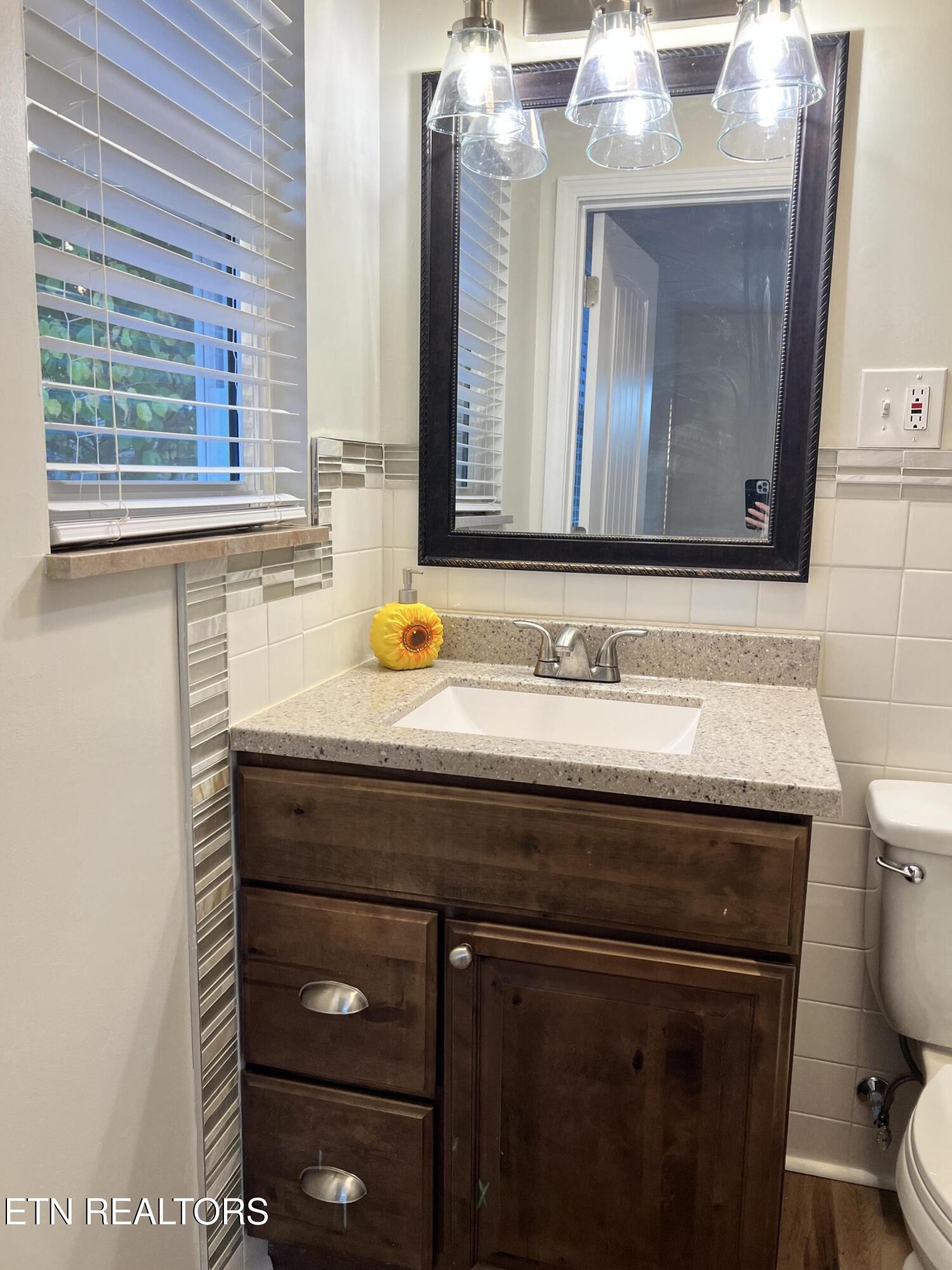 244 Peterson Road Knoxville, TN 37934 - Photo 18 of 46 a bathroom with a sink a toilet and mirror