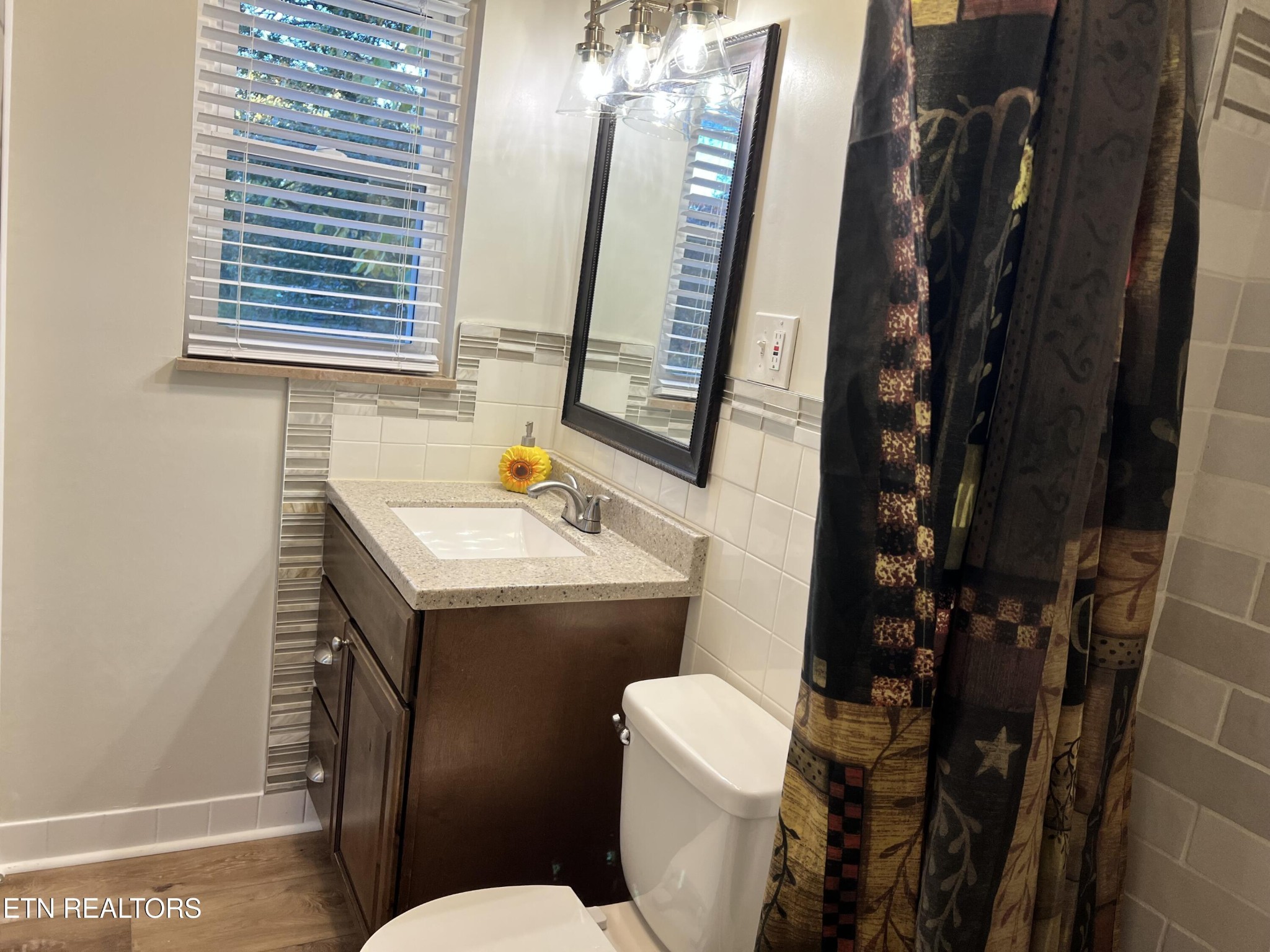 244 Peterson Road Knoxville, TN 37934 - Photo 21 of 46 a bathroom with a sink and mirror with toilet
