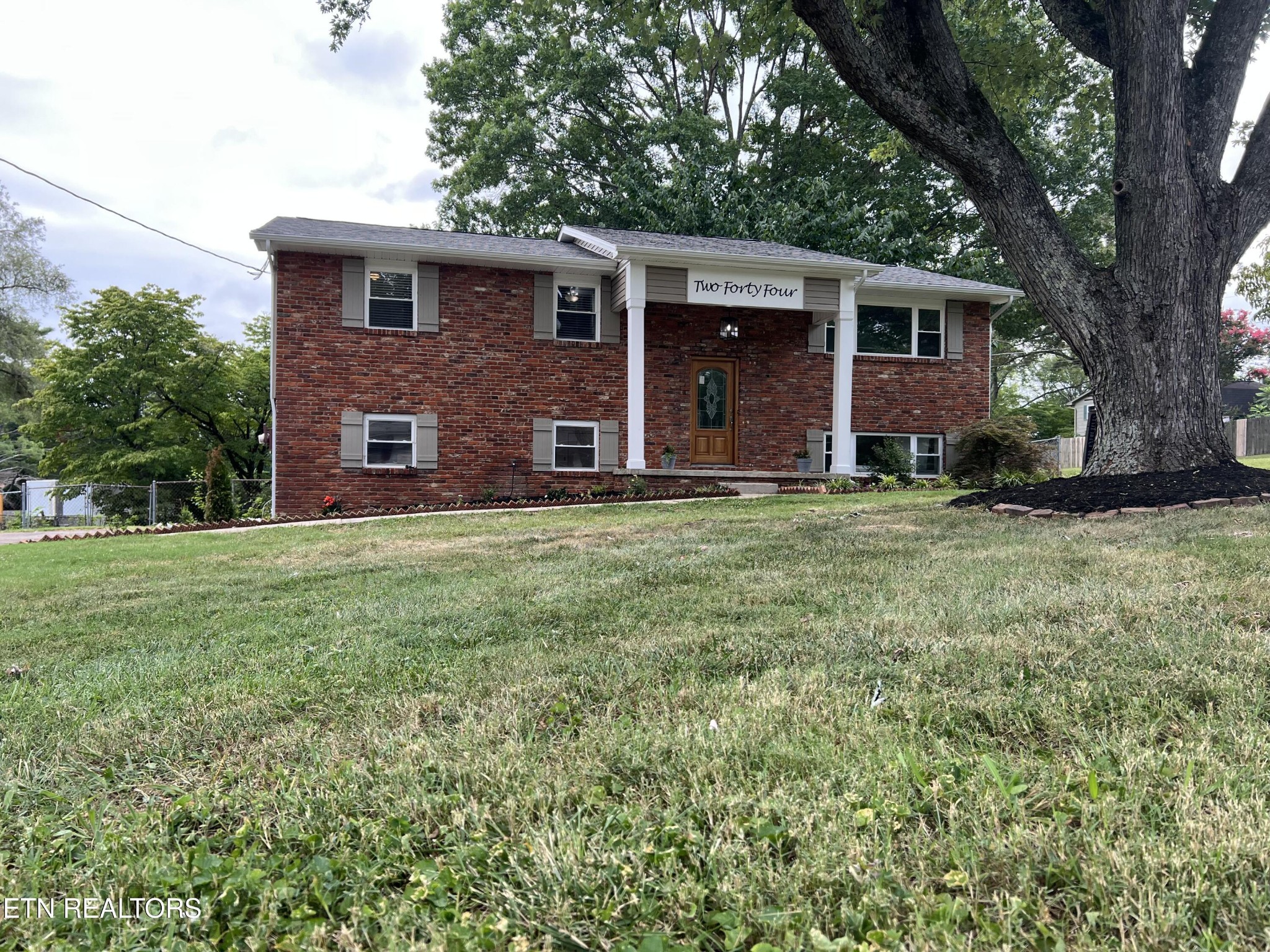244 Peterson Road Knoxville, TN 37934 - Photo 40 of 46 a view of a yard in front of a house with large tree