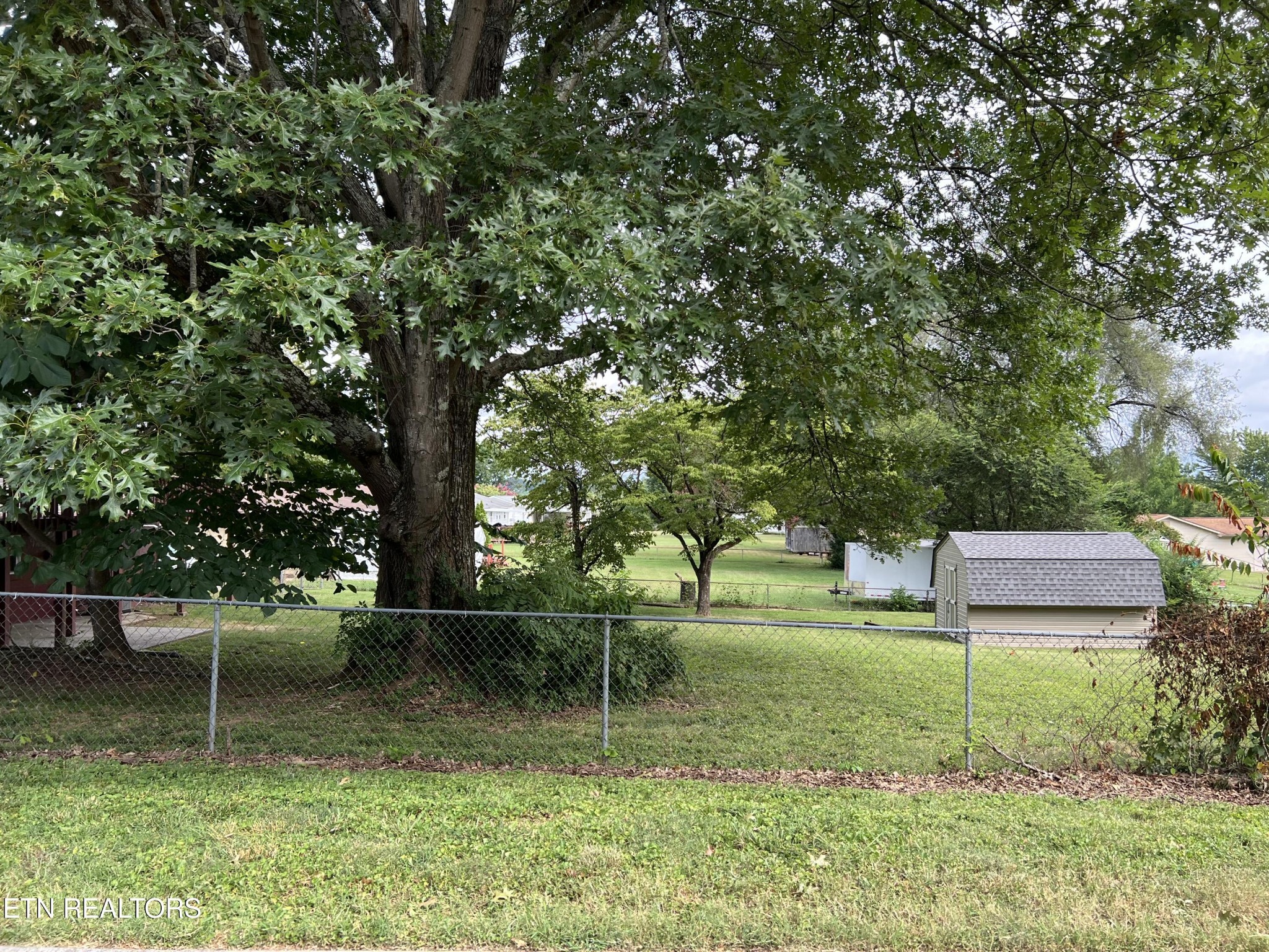 244 Peterson Road Knoxville, TN 37934 - Photo 43 of 46 a backyard of a house with lots of green space
