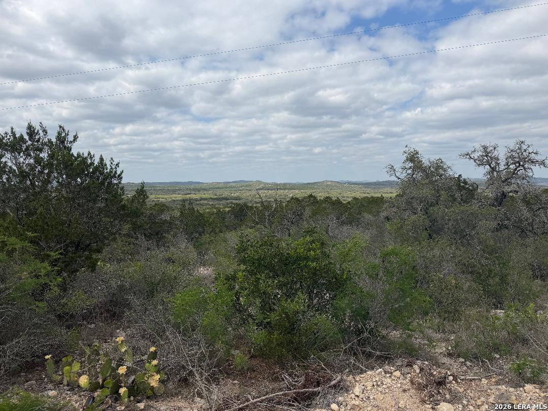 179 Rr 334 Brackettville, TX 78832 - Photo 6 of 12