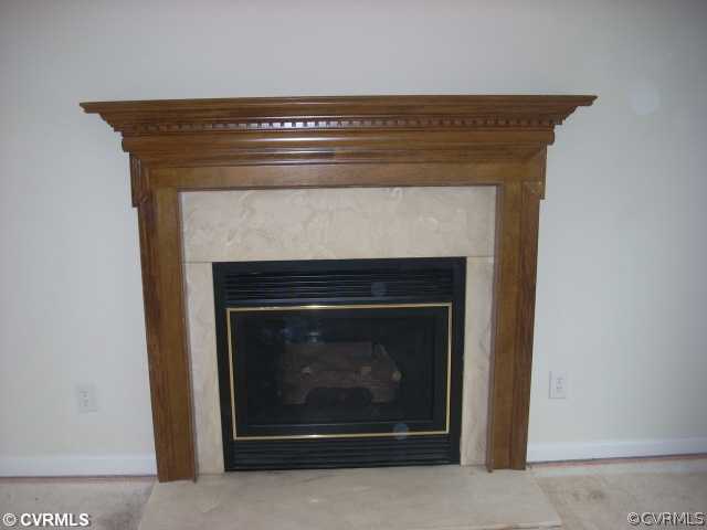 1728 Buckner Road Bumpass, VA 23024 - Photo 4 of 4 a close view of a fireplace