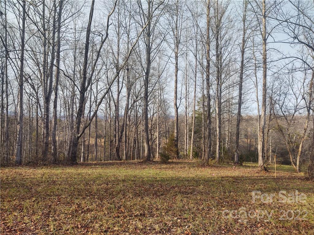 574 Freeman Town Road Rutherfordton, NC 28139 - Photo 1 of 9 a backyard of a house with lots of green space