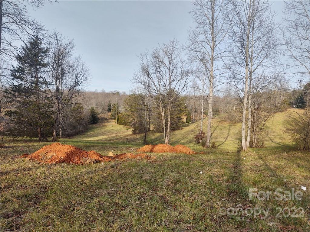 574 Freeman Town Road Rutherfordton, NC 28139 - Photo 3 of 9 a view of yard with tree in the background