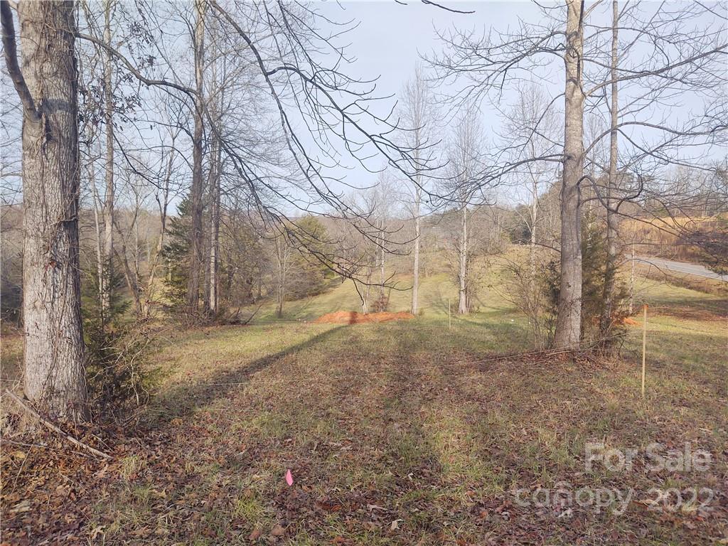 574 Freeman Town Road Rutherfordton, NC 28139 - Photo 4 of 9 a view of a yard with trees