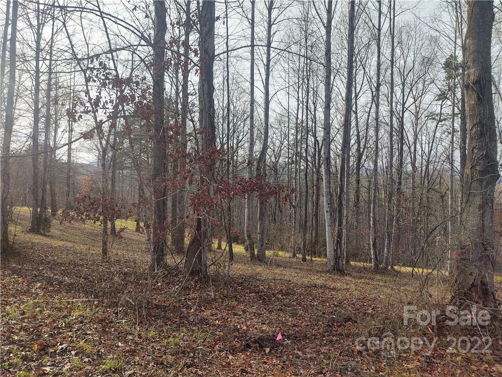 574 Freeman Town Road Rutherfordton, NC 28139 - Photo 5 of 9 a backyard of a house with lots of green space
