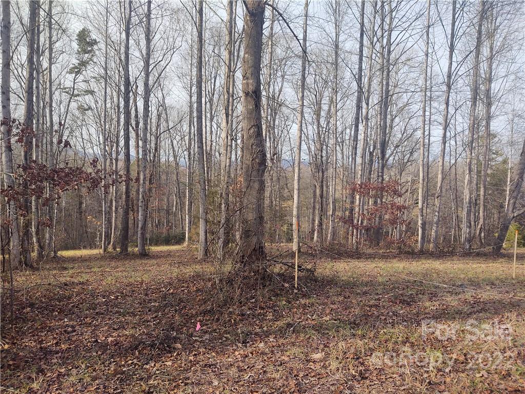574 Freeman Town Road Rutherfordton, NC 28139 - Photo 6 of 9 a backyard of a house with lots of green space