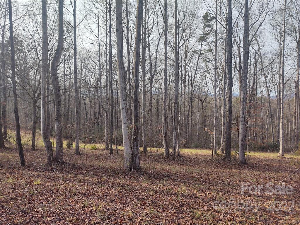 574 Freeman Town Road Rutherfordton, NC 28139 - Photo 7 of 9 a backyard of a house with lots of green space