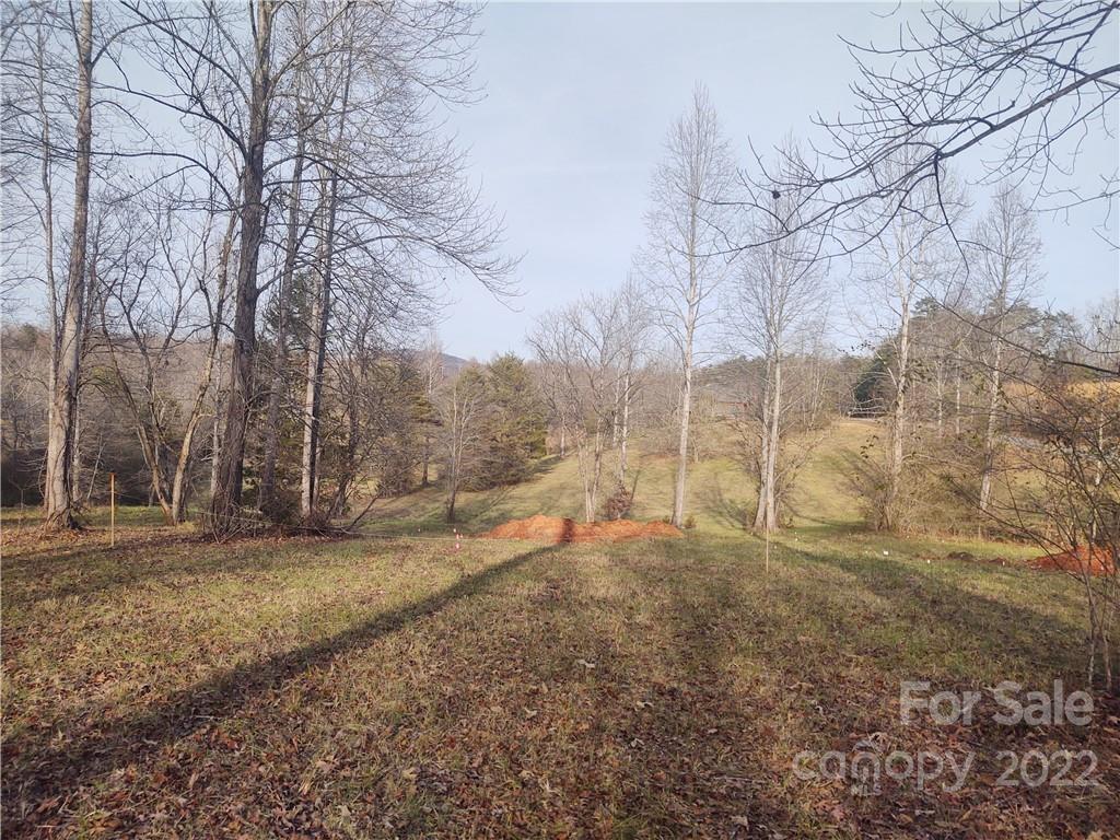 574 Freeman Town Road Rutherfordton, NC 28139 - Photo 8 of 9 a view of a yard with trees