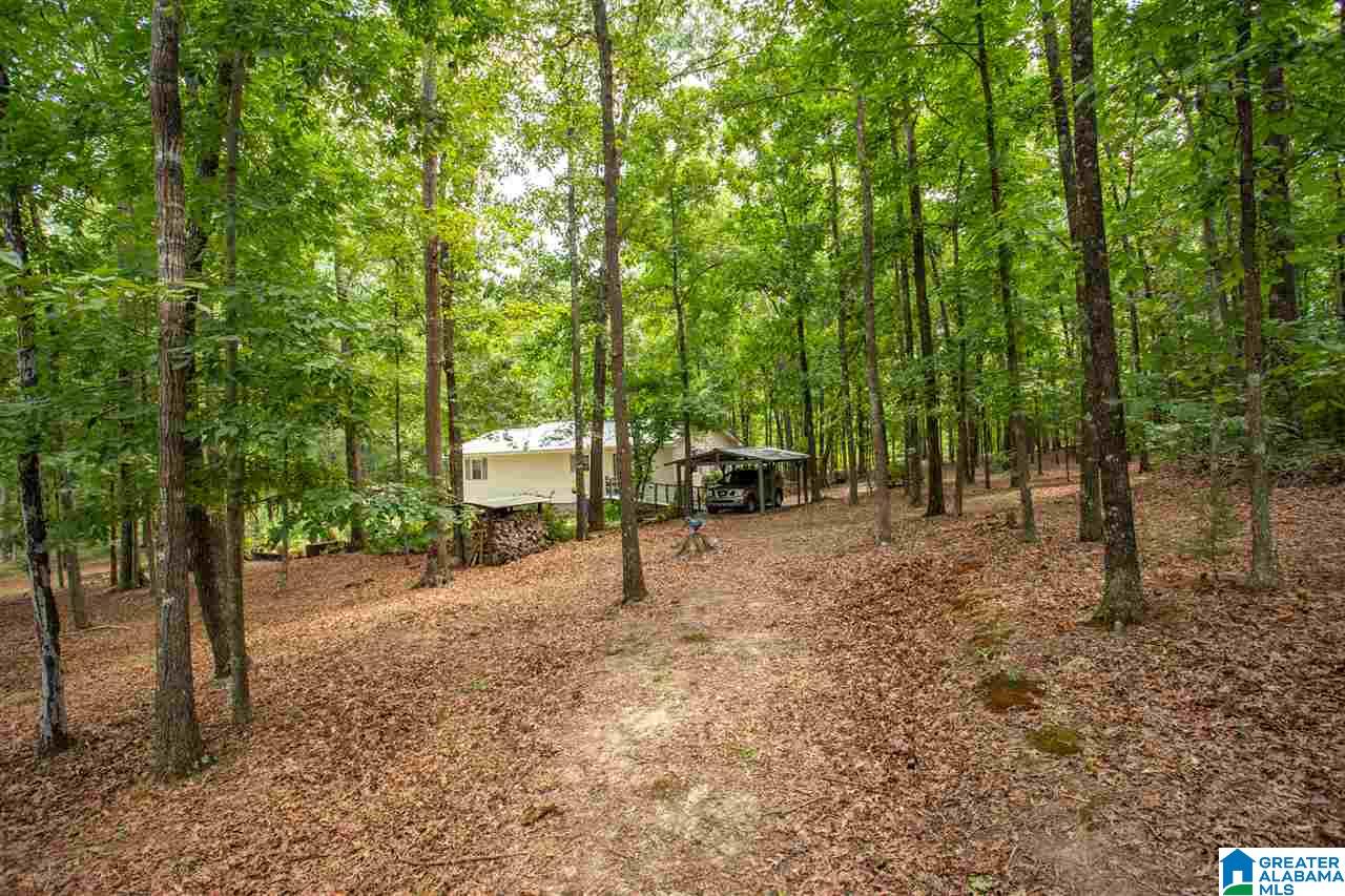 501 Eagle Bald Road Jacksonville, AL 36265 - Photo 34 of 49 Gallery Image 34