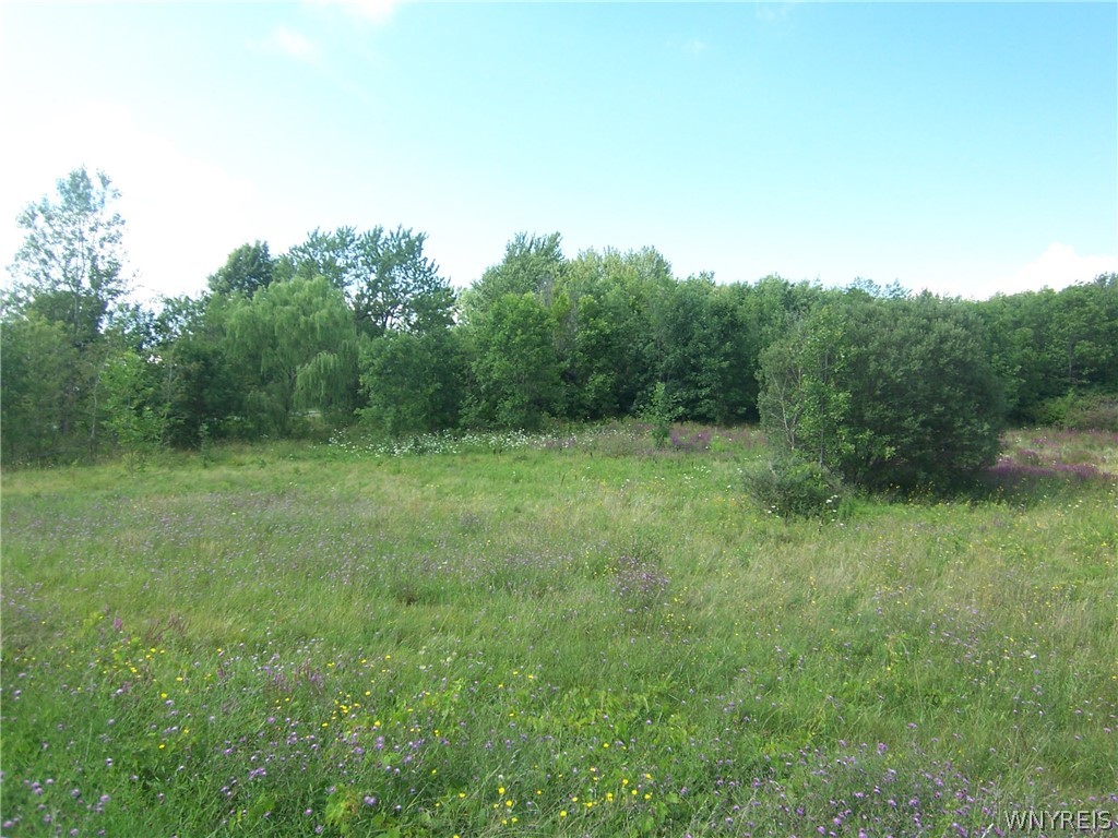 V/l Broadway Road Darien Center, NY 14040 - Photo 1 of 11 Gallery Image 1