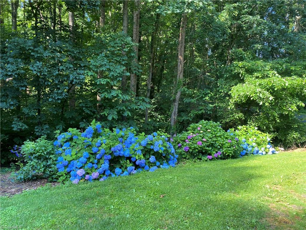 110 Manteo Road Lexington, NC 27295 - Photo 49 of 50 Gallery Image 49
