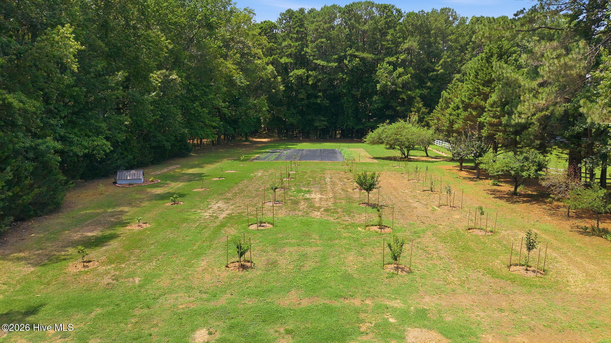 5349 A Pridgen Road Elm City, NC 27822 - Photo 15 of 67