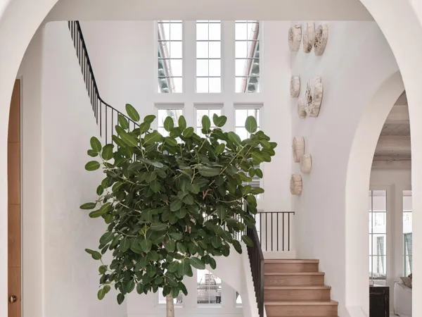 a flower pot with wooden floor