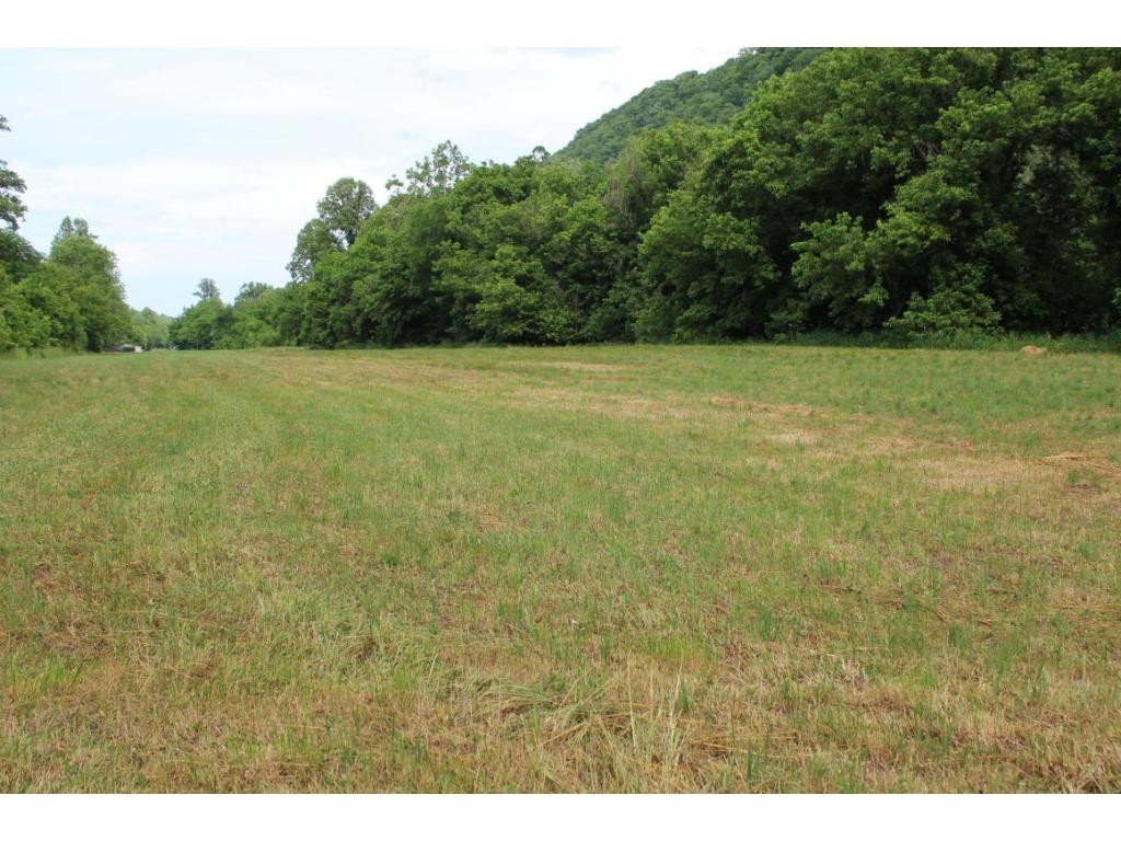 Tbd Anglers Way Road Duffield, VA 24244 - Photo 1 of 17 Photo 1