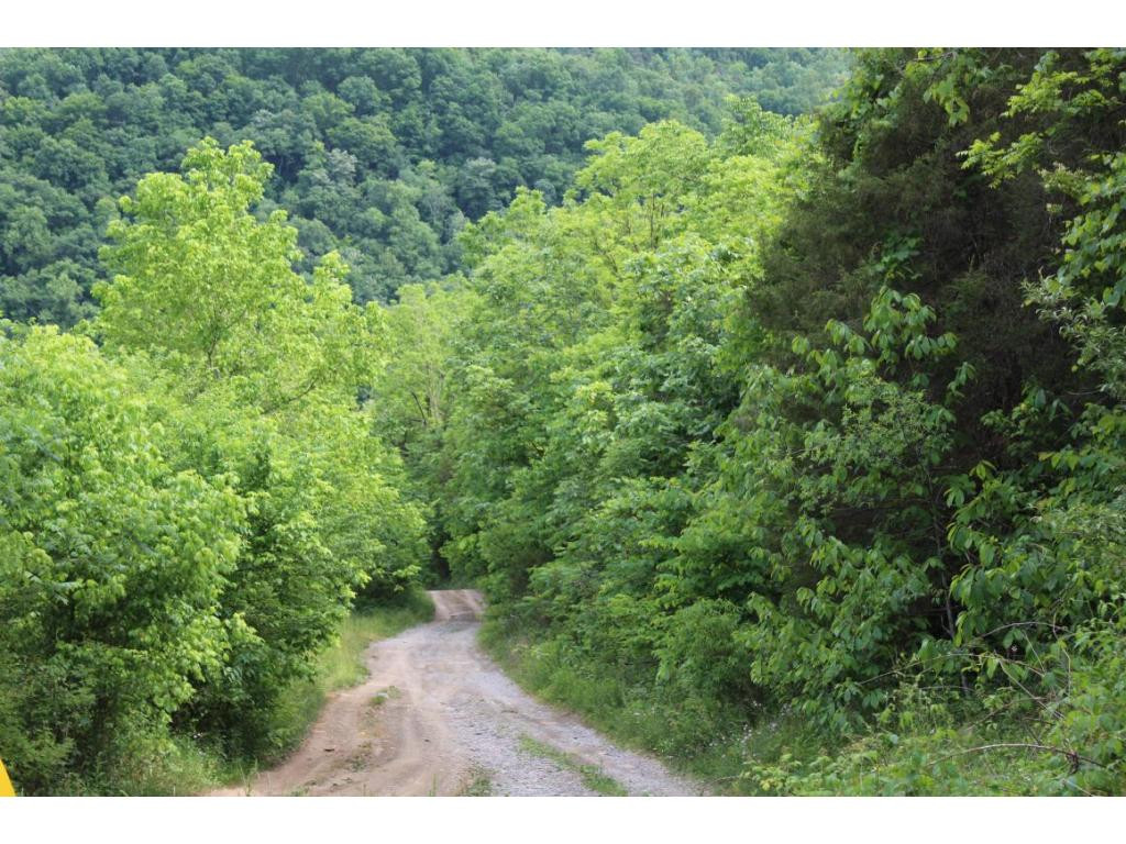 Tbd Anglers Way Road Duffield, VA 24244 - Photo 17 of 17 Photo 17