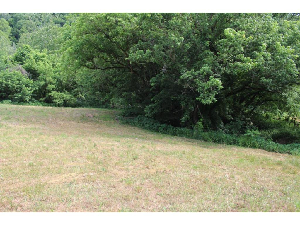 Tbd Anglers Way Road Duffield, VA 24244 - Photo 3 of 17 Photo 3
