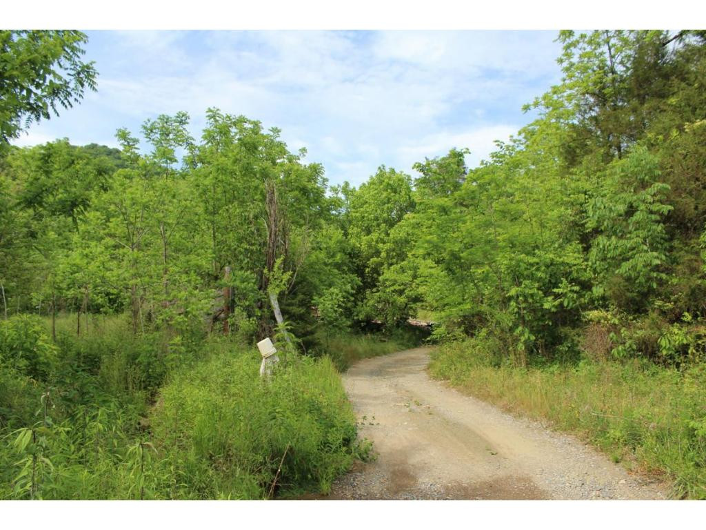 Tbd Anglers Way Road Duffield, VA 24244 - Photo 6 of 17 Photo 6