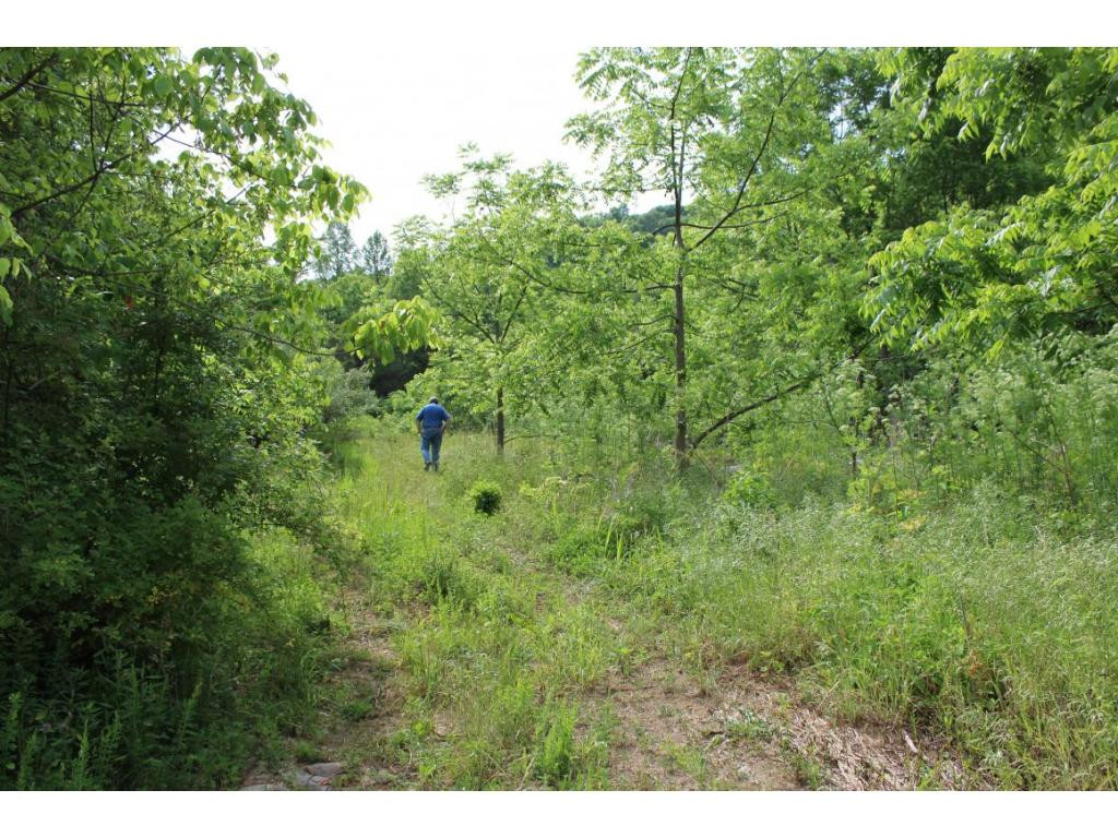 Tbd Anglers Way Road Duffield, VA 24244 - Photo 9 of 17 Photo 9