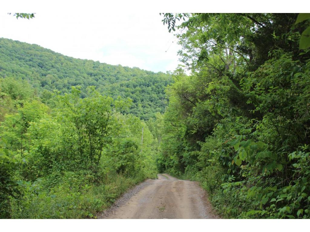 Tbd Anglers Way Road Duffield, VA 24244 - Photo 10 of 17 Photo 10