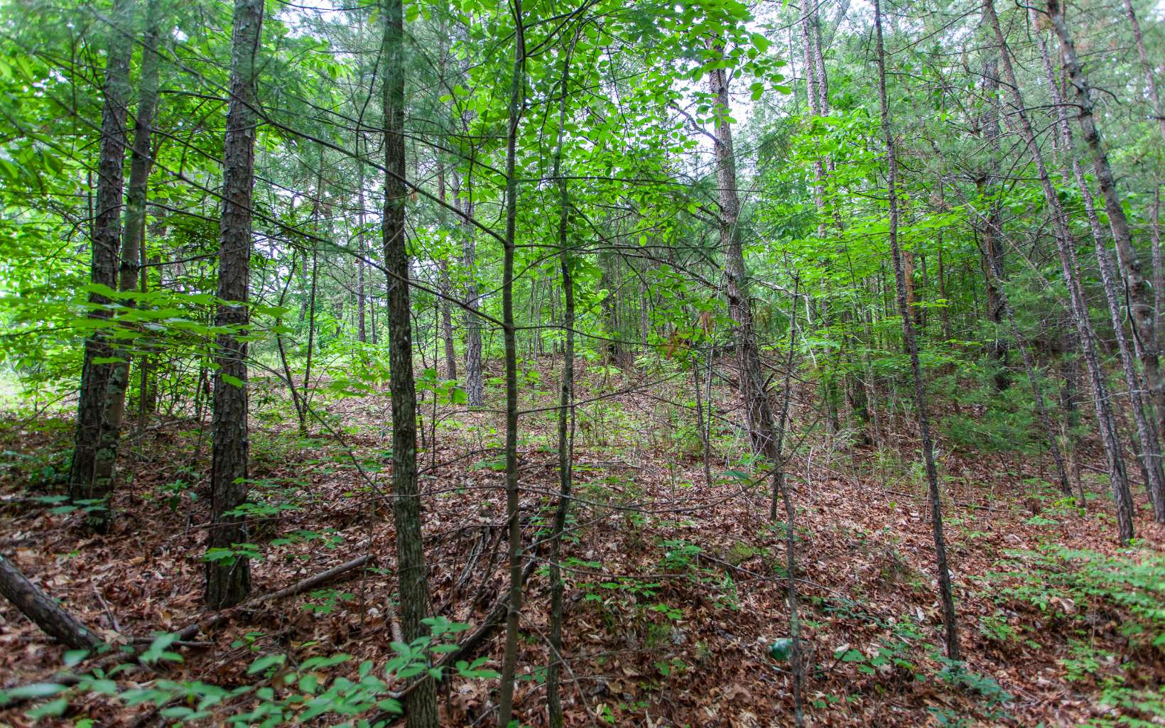 0 Mountain View Road Murphy, NC 28906 - Photo 6 of 22 Additional View
