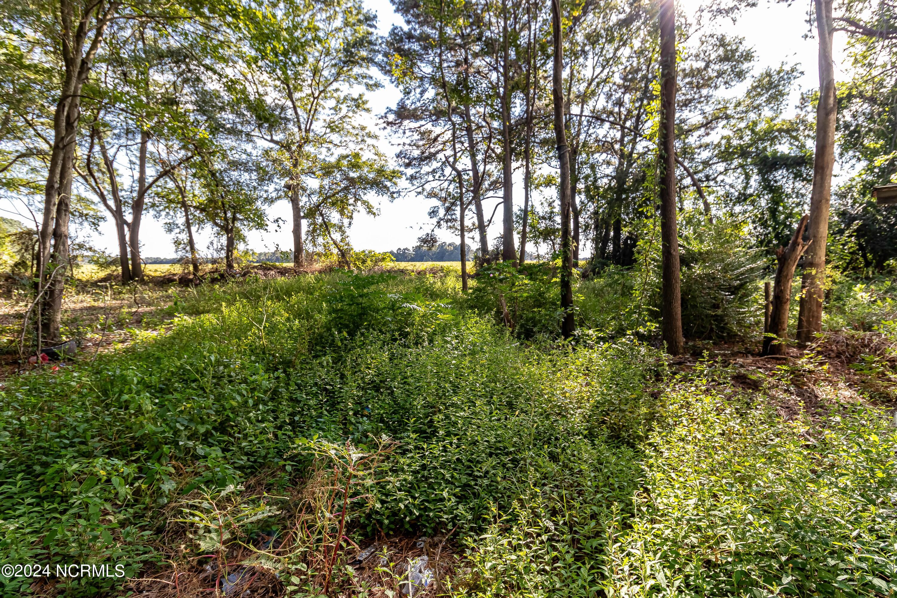 883 Slapout Road Mount Olive, NC 28365 - Photo 29 of 30 IMG_4960
