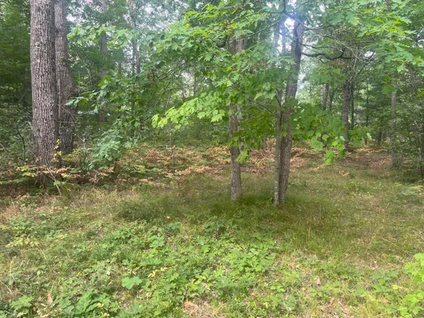 $125,900 | 2535 West Wilderness Way, Baldwin, MI 49304