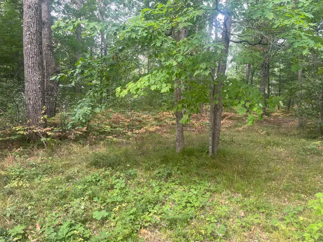 $125,900 | 2535 West Wilderness Way, Baldwin, MI 49304