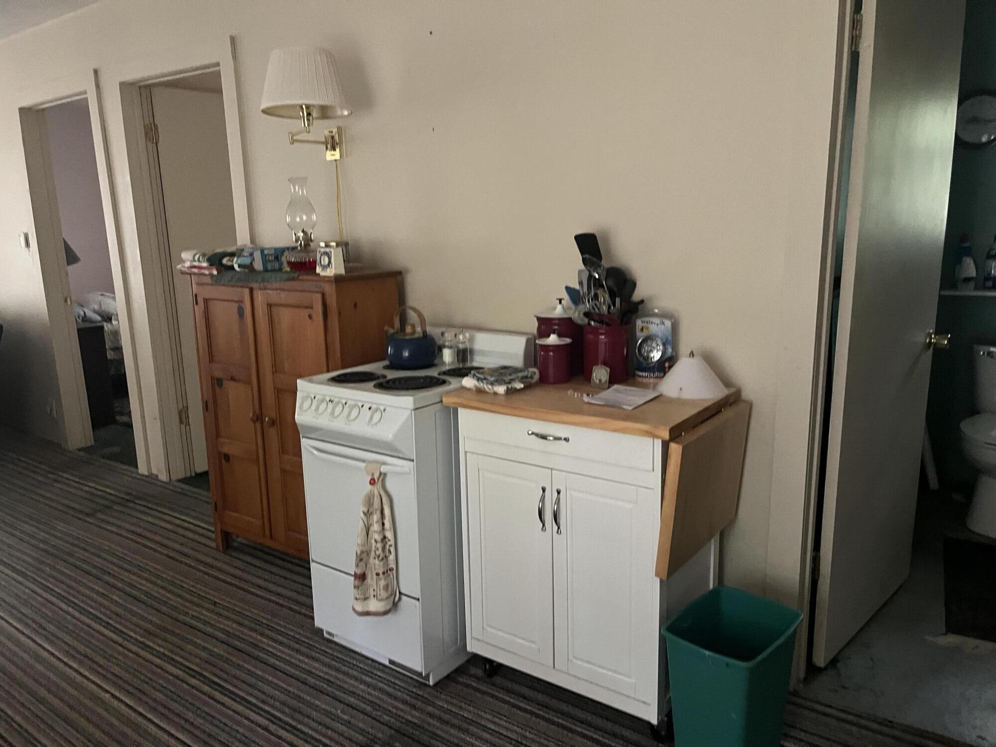 2535 West Wilderness Way Baldwin, MI 49304 - Photo 8 of 12 9110B5B7-5EAD-412F-907C-A9EE1522AEBE