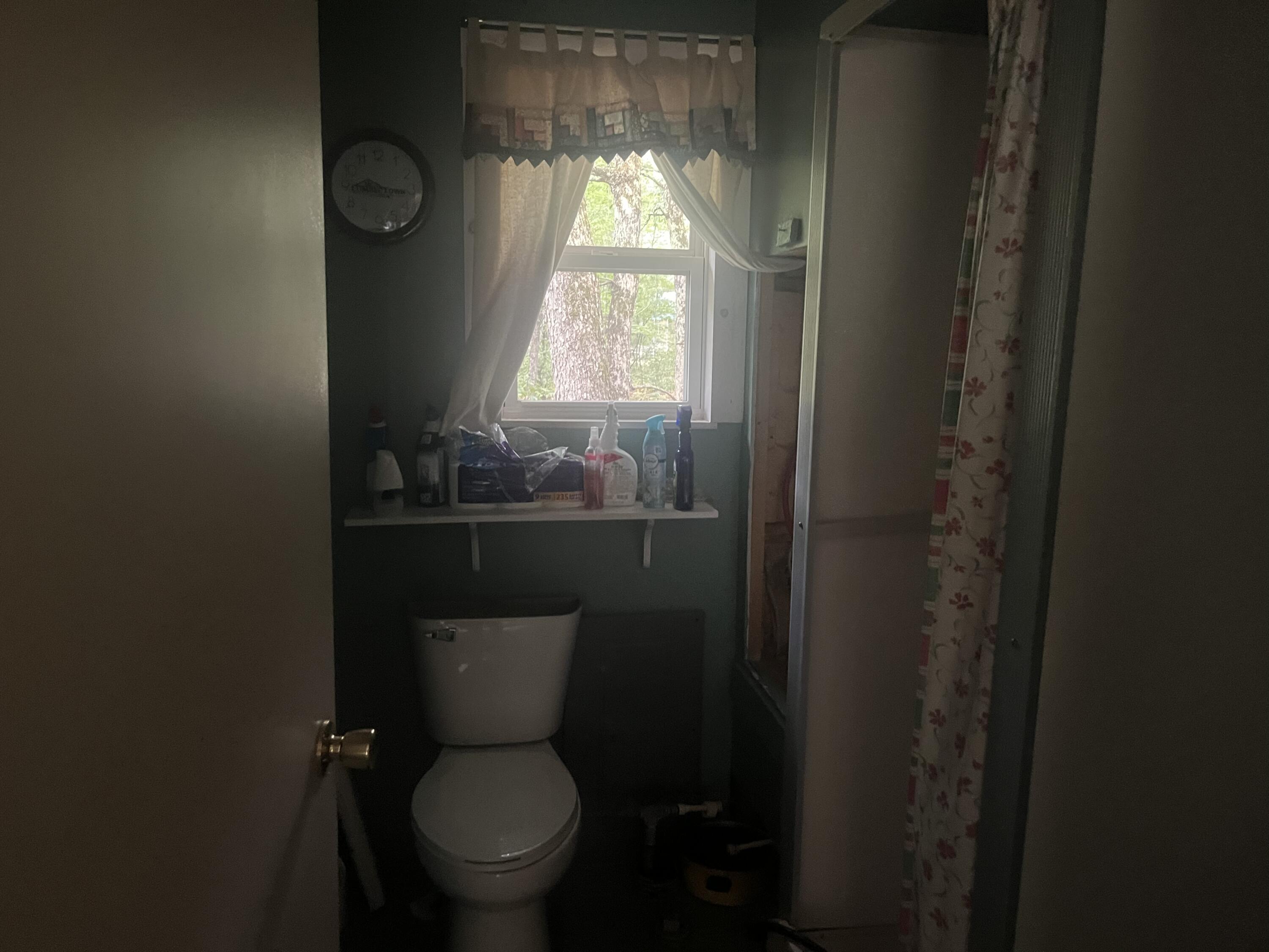 2535 West Wilderness Way Baldwin, MI 49304 - Photo 9 of 12 679CA9CC-3DD2-424F-BB33-CBEBBAC60774