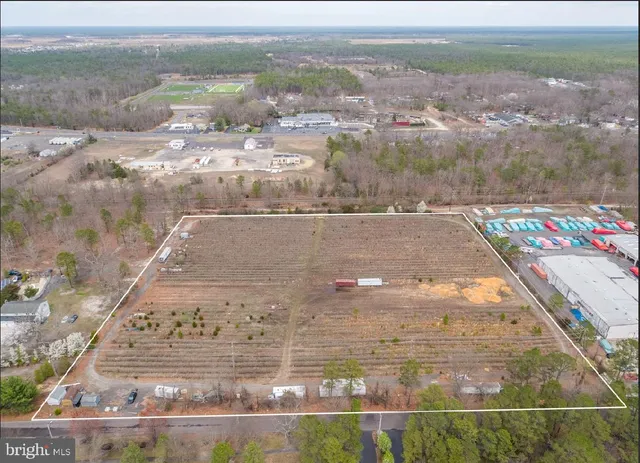 a view of a city from a yard