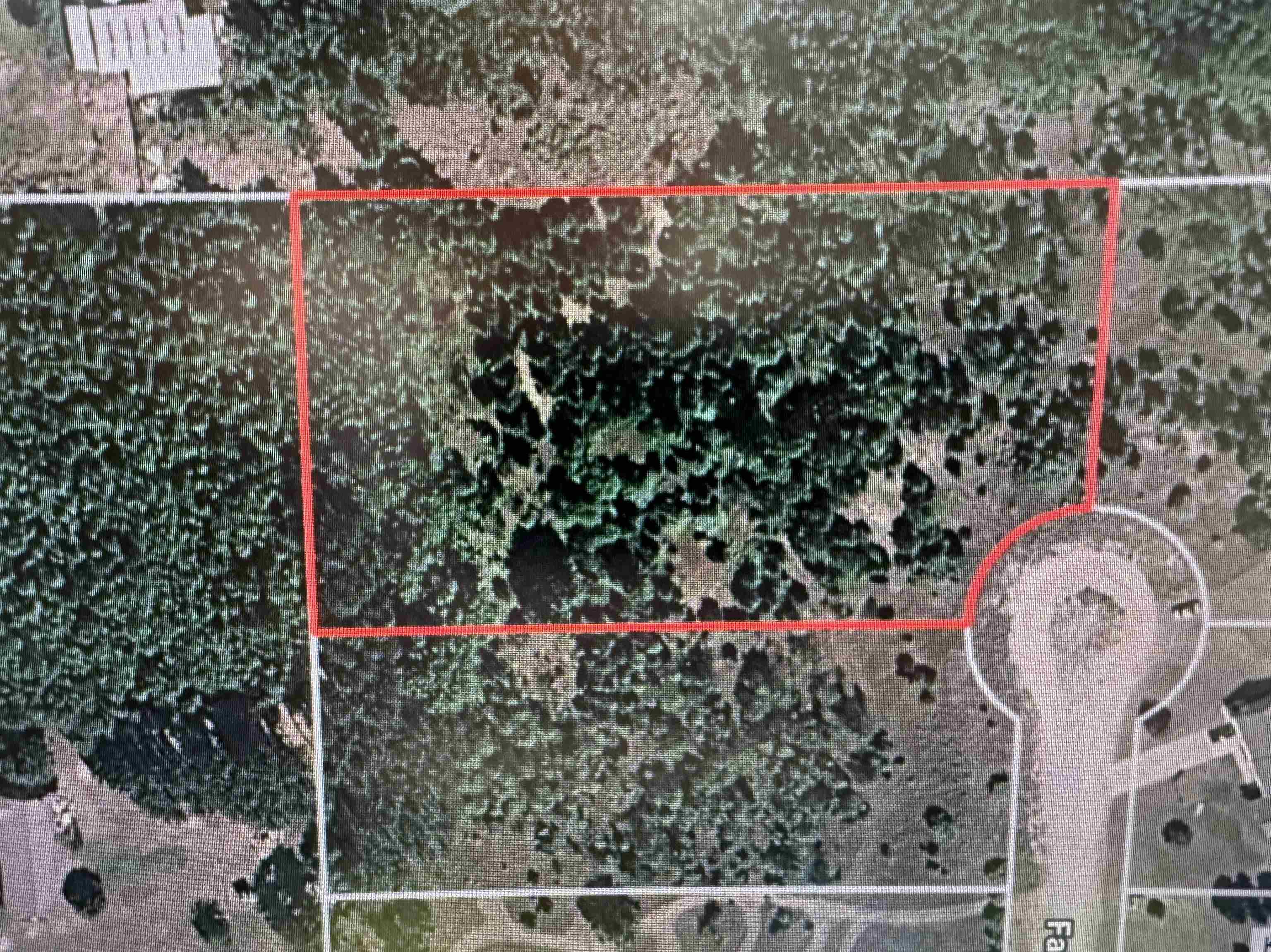 12 Fairview Manton, MI 49663 - Photo 15 of 15